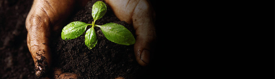 medio ambiente empresa 