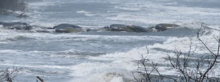 Isla Salamanca, Costa Caribe, Colombia